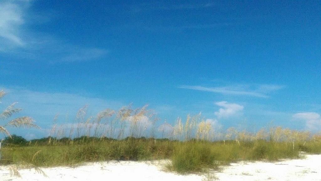 Pag Beachhouse Rentals St. Pete Beach Kültér fotó